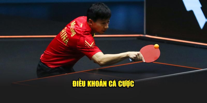 dièu-khoản-cá-cuọc
